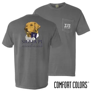 Sigma Pi Comfort Colors Retriever Flag Tee