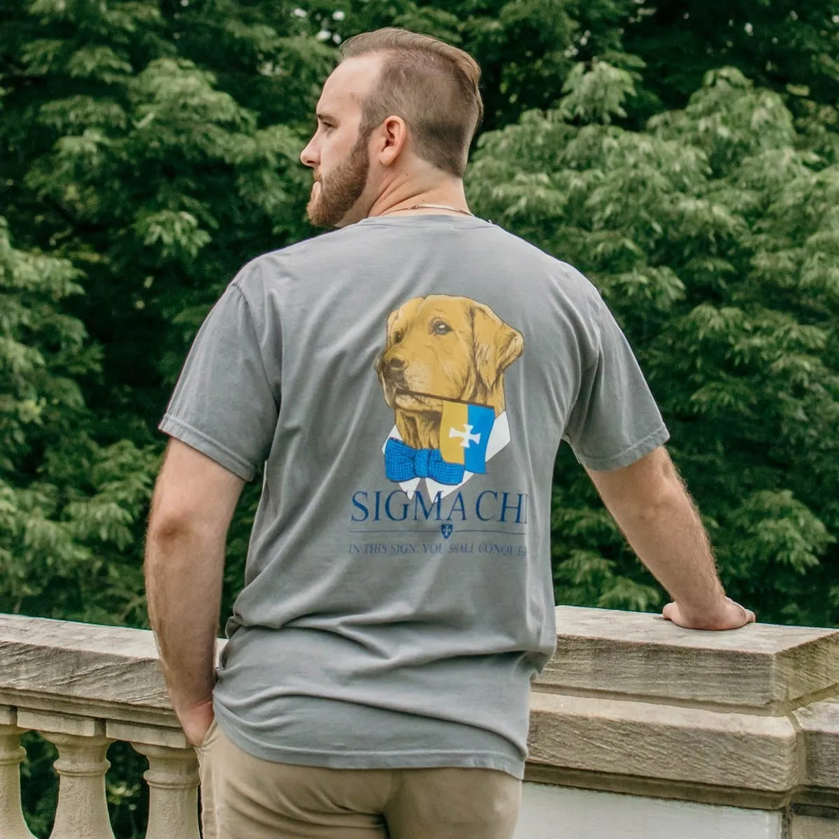 ZBT Comfort Colors Retriever Flag Tee